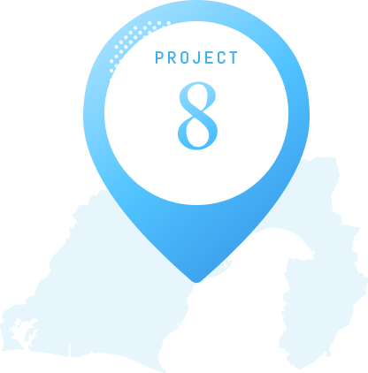 PROJECT 8